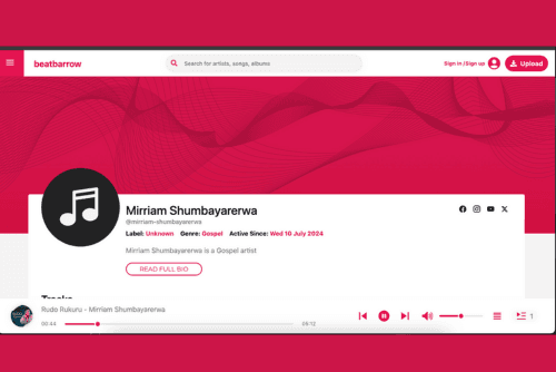 BeatBarrow screenshot 1