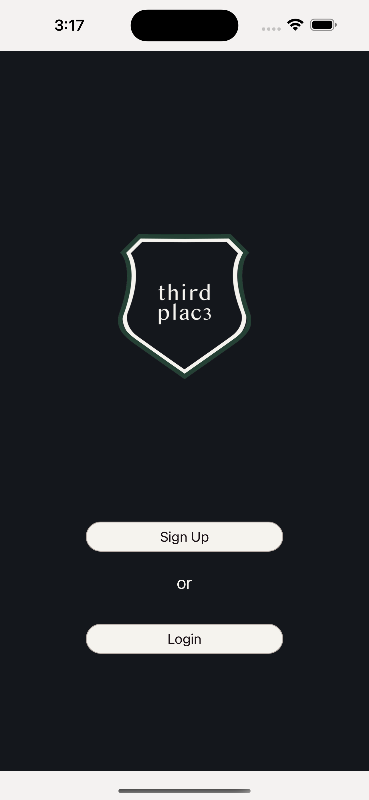 Third Place project preview